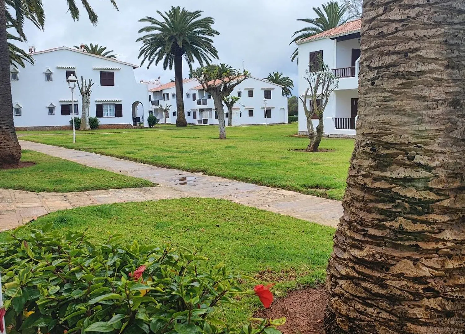 Apartamento Colibri location